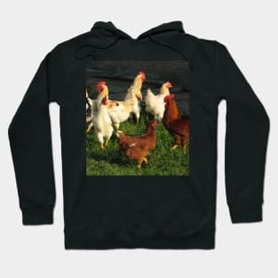 Poultry Hoodie